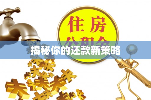 二道江揭秘你的还款新策略