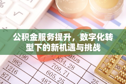 二道江公积金服务提升，数字化转型下的新机遇与挑战