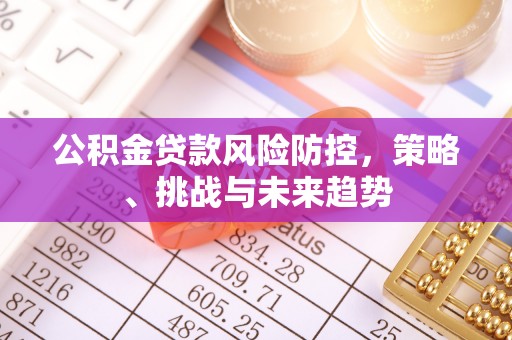 二道江公积金贷款风险防控，策略、挑战与未来趋势