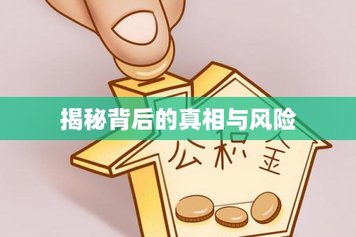 二道江揭秘背后的真相与风险