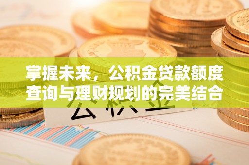 二道江掌握未来，公积金贷款额度查询与理财规划的完美结合