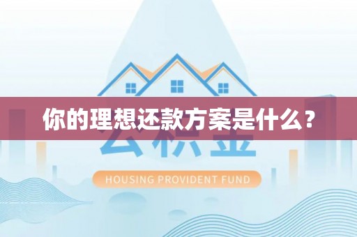 二道江你的理想还款方案是什么？