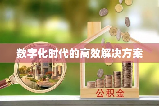 二道江数字化时代的高效解决方案