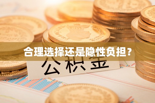 二道江合理选择还是隐性负担？