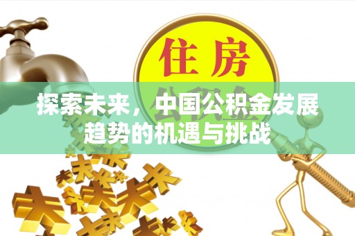 二道江探索未来，中国公积金发展趋势的机遇与挑战